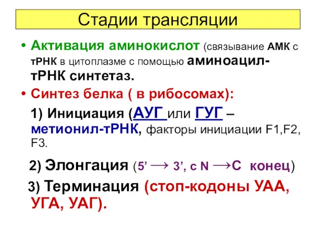 Стадии трансляции Активация аминокислот (связывание АМК с тРНК в цитоплазме