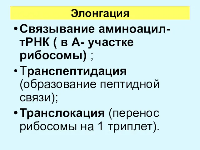 Элонгация Связывание аминоацил-тРНК ( в А- участке рибосомы) ; Транспептидация