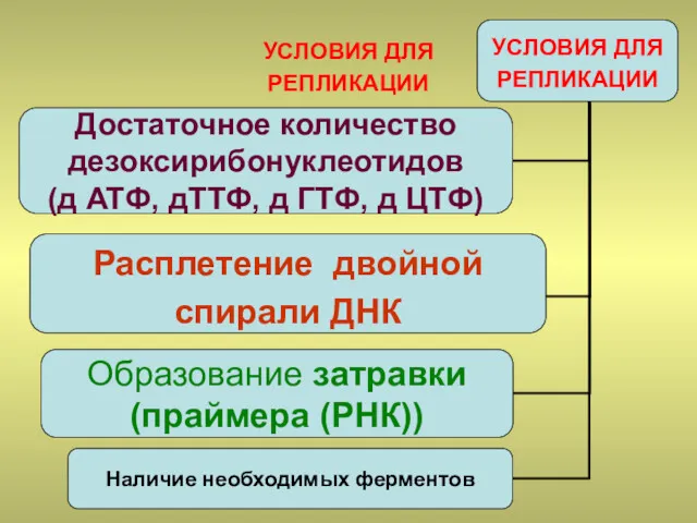 УСЛОВИЯ ДЛЯ РЕПЛИКАЦИИ