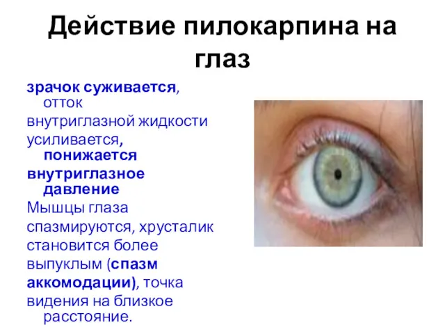 Действие пилокарпина на глаз зрачок суживается, отток внутриглазной жидкости усиливается,