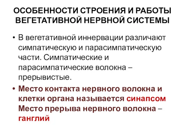 ОСОБЕННОСТИ СТРОЕНИЯ И РАБОТЫ ВЕГЕТАТИВНОЙ НЕРВНОЙ СИСТЕМЫ В вегетативной иннервации