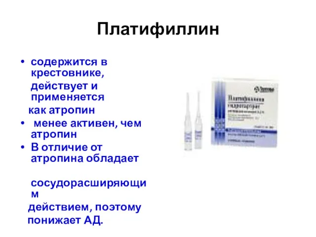 Платифиллин содержится в крестовнике, действует и применяется как атропин менее