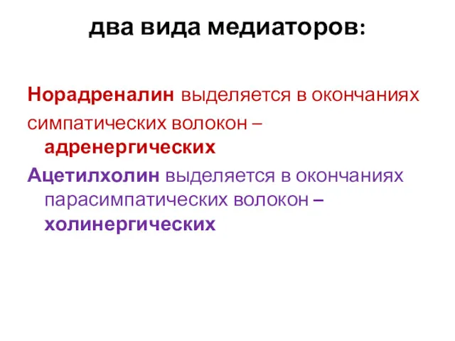 два вида медиаторов: Норадреналин выделяется в окончаниях симпатических волокон –