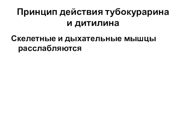 Принцип действия тубокурарина и дитилина Скелетные и дыхательные мышцы расслабляются