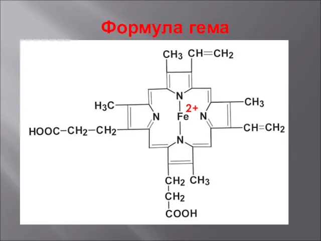 Формула гема 2+ … …