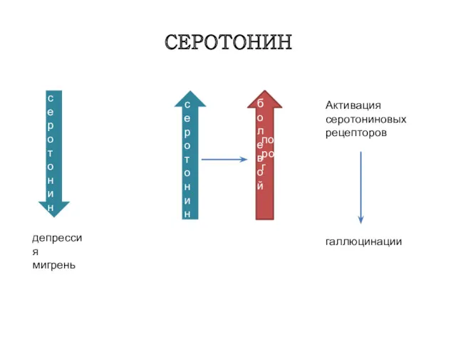 СЕРОТОНИН серотонин депрессия мигрень Активация серотониновых рецепторов галлюцинации болевой серотонин порог