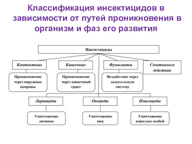 Классификация инсектицидов в зависимости от путей проникновения в организм и фаз его развития