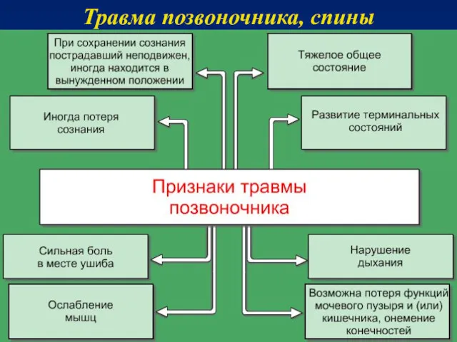 Травма позвоночника, спины