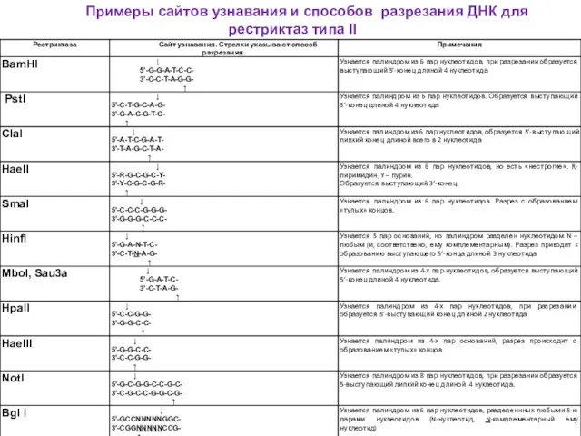 Примеры сайтов узнавания и способов разрезания ДНК для рестриктаз типа II