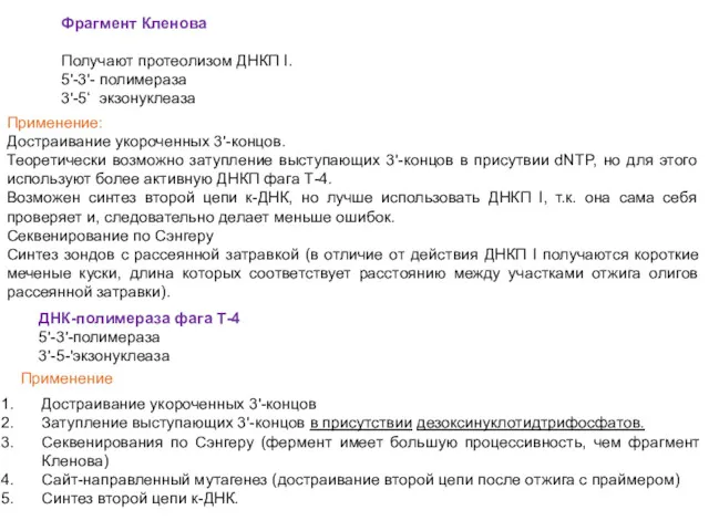 Фрагмент Кленова Получают протеолизом ДНКП I. 5'-3'- полимераза 3'-5‘ экзонуклеаза