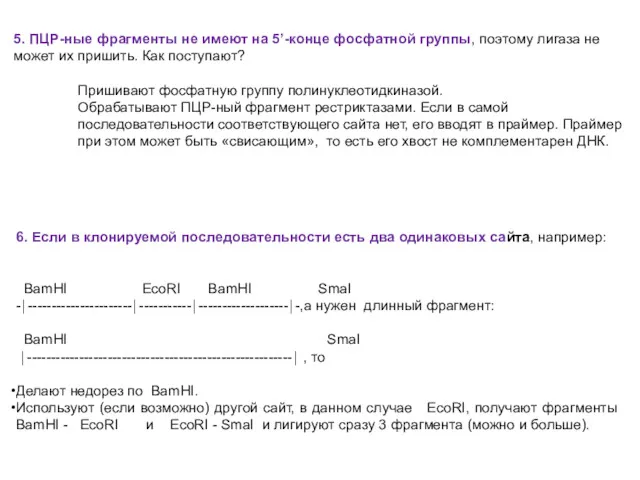 5. ПЦР-ные фрагменты не имеют на 5’-конце фосфатной группы, поэтому