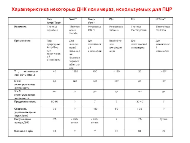 Характеристика некоторых ДНК полимераз, используемых для ПЦР