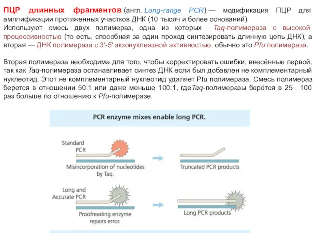 ПЦР длинных фрагментов (англ. Long-range PCR) — модификация ПЦР для