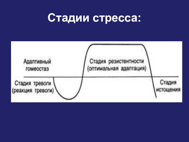 Стадии стресса: