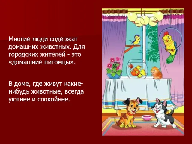 Многие люди содержат домашних животных. Для городских жителей - это