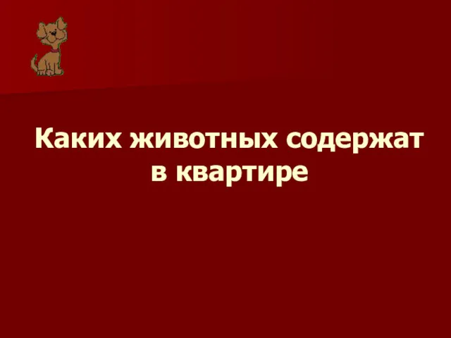 Каких животных содержат в квартире