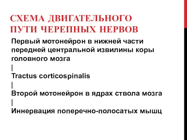 СХЕМА ДВИГАТЕЛЬНОГО ПУТИ ЧЕРЕПНЫХ НЕРВОВ Первый мотонейрон в нижней части