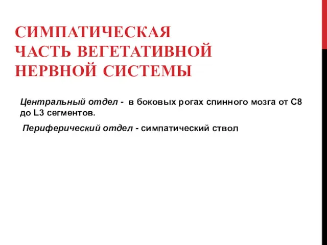 СИМПАТИЧЕСКАЯ ЧАСТЬ ВЕГЕТАТИВНОЙ НЕРВНОЙ СИСТЕМЫ Центральный отдел - в боковых