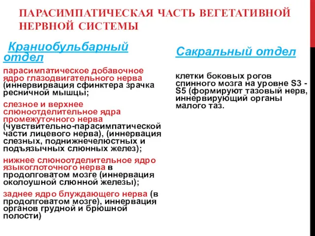 ПАРАСИМПАТИЧЕСКАЯ ЧАСТЬ ВЕГЕТАТИВНОЙ НЕРВНОЙ СИСТЕМЫ Краниобульбарный отдел парасимпатическое добавочное ядро