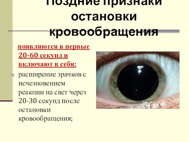 Поздние признаки остановки кровообращения появляются в первые 20-60 секунд и