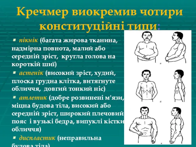 Кречмер виокремив чотири конституційні типи: пікнік (багата жирова тканина, надмірна