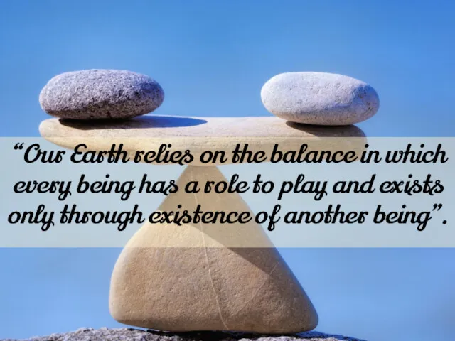 “Our Earth relies on the balance in which every being