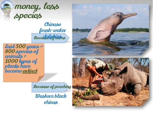 Last 500 years = 800 species of animals + 1000