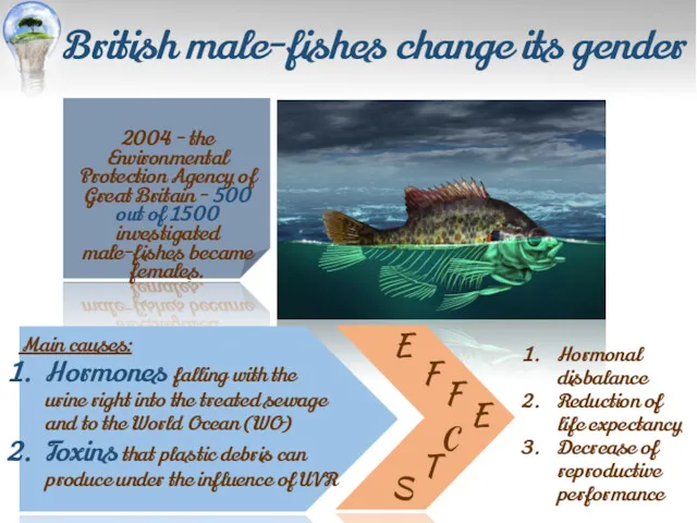 British male-fishes change its gender 2004 - the Environmental Protection