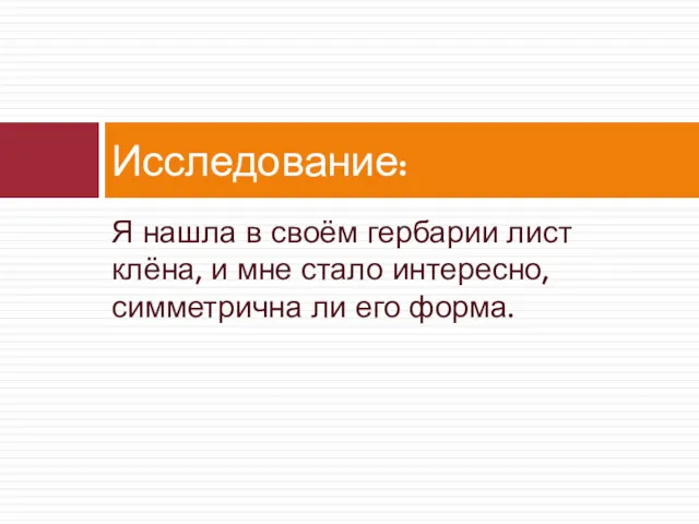 Я нашла в своём гербарии лист клёна, и мне стало интересно, симметрична ли его форма. Исследование: