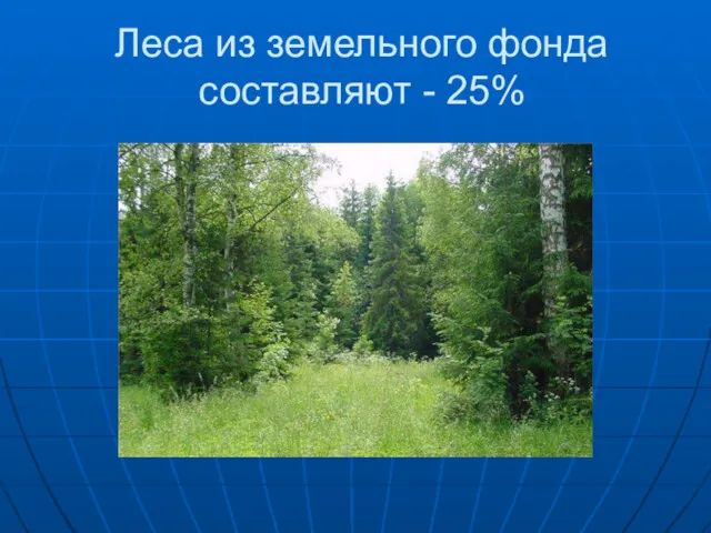 Леса из земельного фонда составляют - 25%