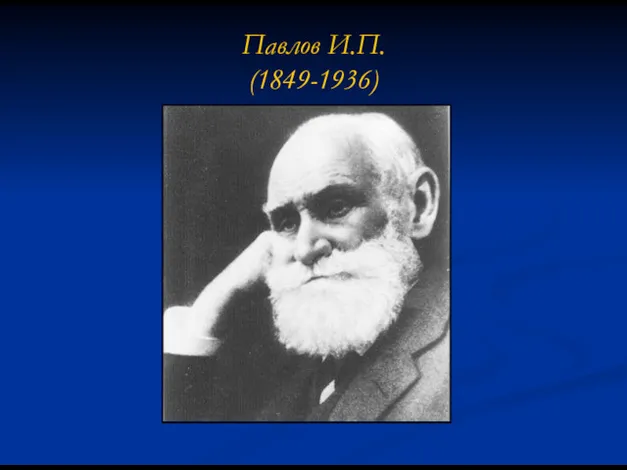 Павлов И.П. (1849-1936)