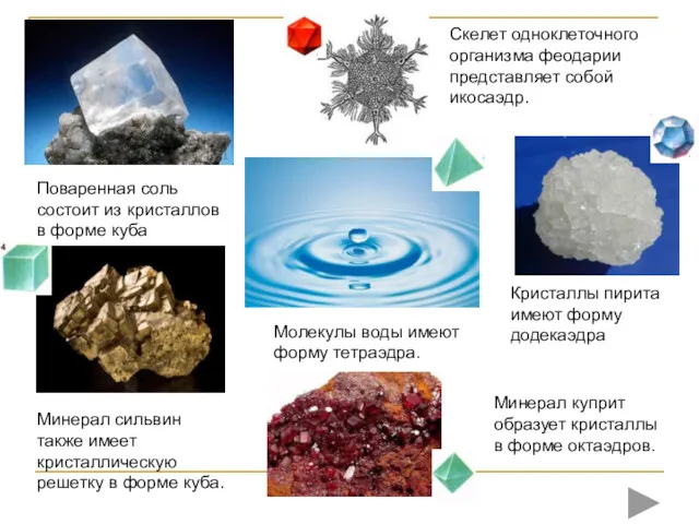 Поваренная соль состоит из кристаллов в форме куба Скелет одноклеточного