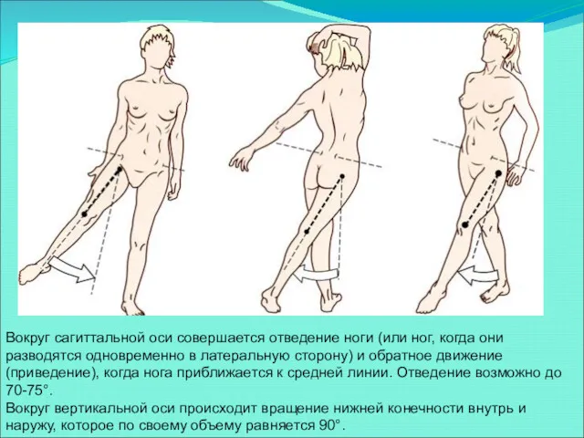 Вокруг сагиттальной оси совершается отведение ноги (или ног, когда они разводятся одновременно в