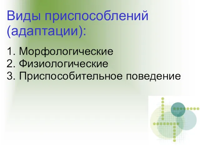 Виды приспособлений (адаптации): 1. Морфологические 2. Физиологические 3. Приспособительное поведение