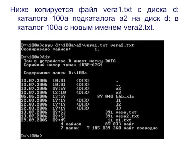 Ниже копируется файл vera1.txt с диска d: каталога 100a подкаталога