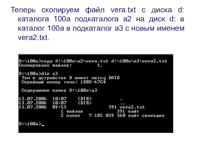 Теперь скопируем файл vera.txt с диска d: каталога 100a подкаталога