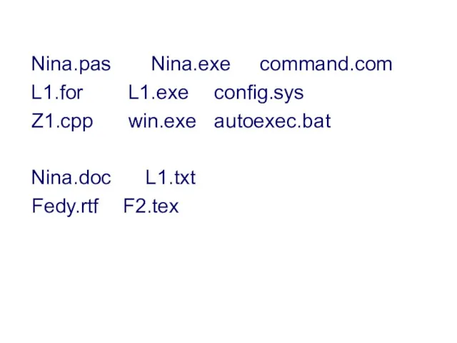Nina.pas Nina.exe command.com L1.for L1.exe config.sys Z1.cpp win.exe autoexec.bat Nina.doc L1.txt Fedy.rtf F2.tex