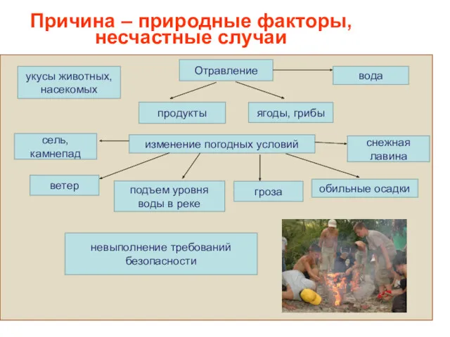 Причина – природные факторы, несчастные случаи . укусы животных, насекомых