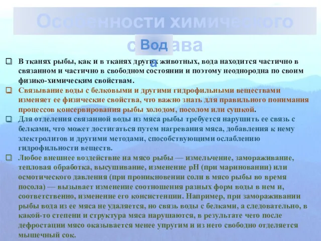 Особенности химического состава В тканях рыбы, как и в тканях других животных, вода