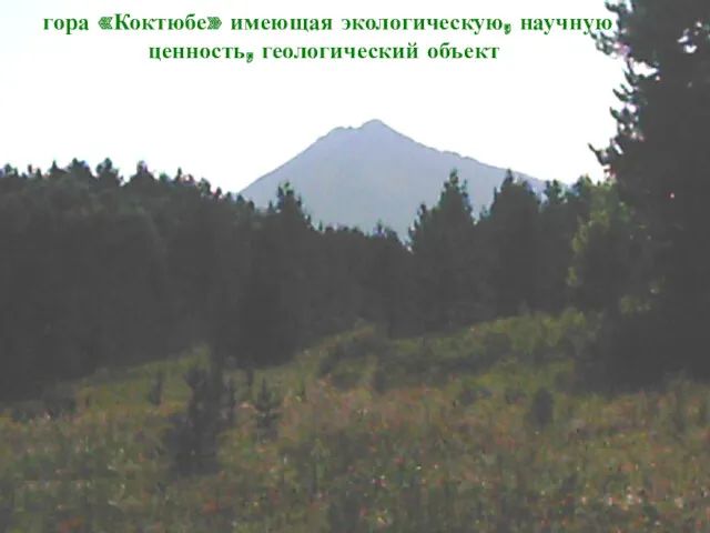 гора «Коктюбе» имеющая экологическую, научную ценность, геологический объект