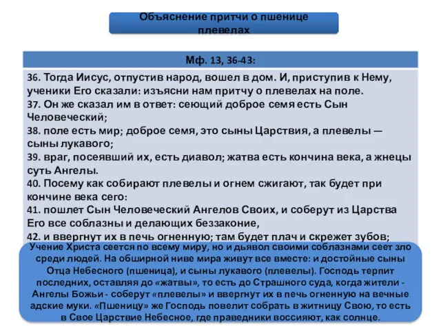 Притча о пшенице и плевелах Объяснение притчи о пшенице плевелах