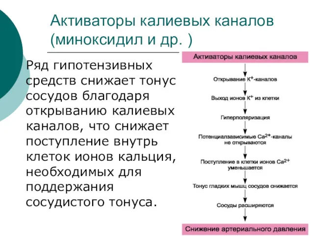 Активаторы калиевых каналов (миноксидил и др. ) Ряд гипотензивных средств снижает тонус сосудов