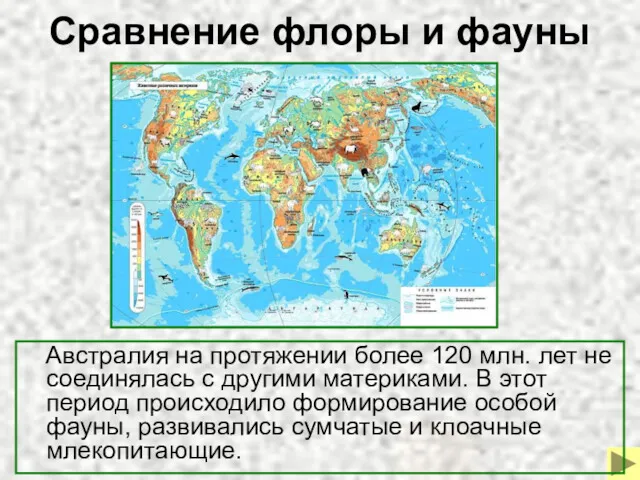 Сравнение флоры и фауны Австралия на протяжении более 120 млн.