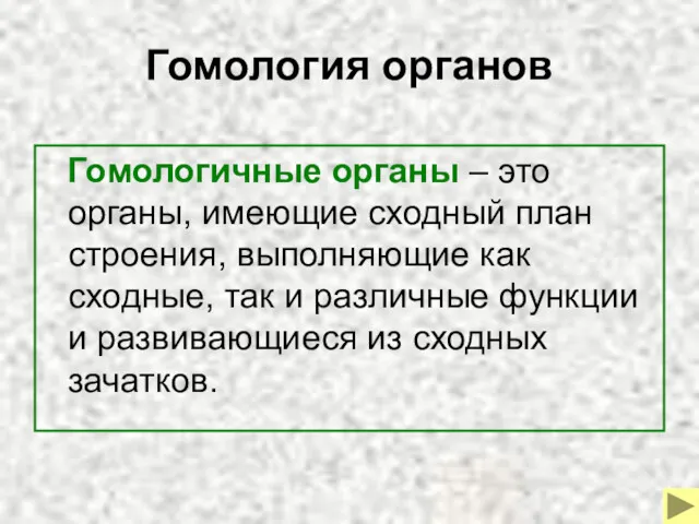 Гомология органов Гомологичные органы – это органы, имеющие сходный план