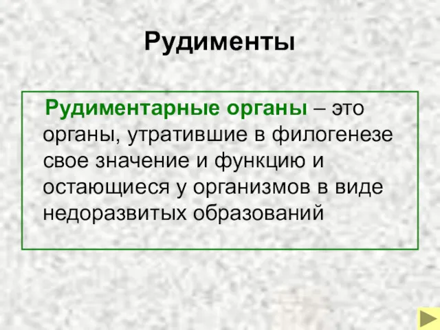 Рудименты Рудиментарные органы – это органы, утратившие в филогенезе свое