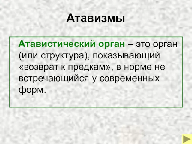 Атавизмы Атавистический орган – это орган (или структура), показывающий «возврат