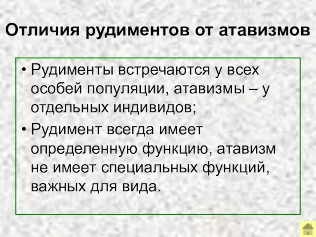 Отличия рудиментов от атавизмов Рудименты встречаются у всех особей популяции,