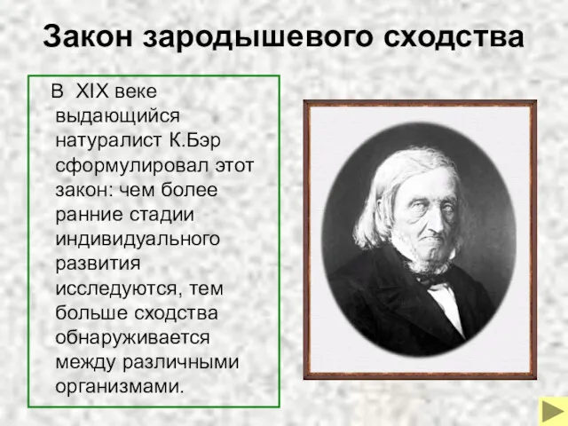 Закон зародышевого сходства В XIX веке выдающийся натуралист К.Бэр сформулировал