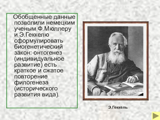 Обобщенные данные позволили немецким ученым Ф.Мюллеру и Э.Геккелю сформулировать биогенетический