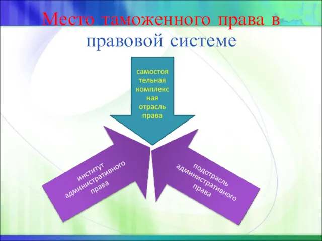 Место таможенного права в правовой системе